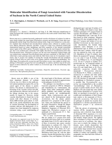 Molecular Identification of Fungi Associated with Vascular Discoloration