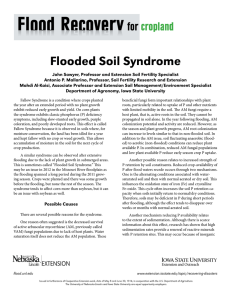 Flooded Soil Syndrome