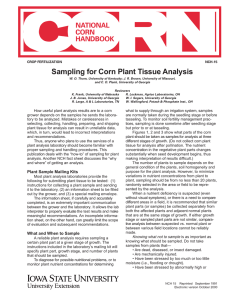 Sampling for Corn Plant Tissue Analysis NATIONAL CORN HANDBOOK