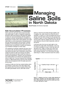 Saline Soils Managing in North Dakota Salt Accumulation Processes