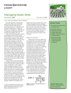 Managing Sodic Soils