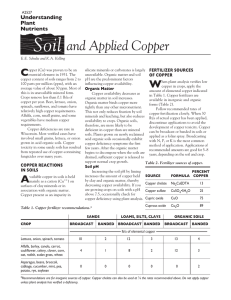 Soil and Applied Copper C Understanding