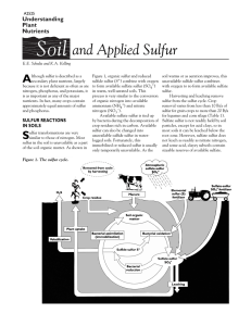 Soil and Applied Sulfur A Understanding