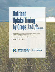 Nutrient Uptake Timing by Crops to assist with