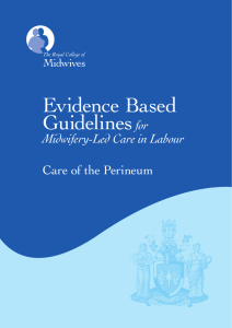Evidence Based Guidelines for Care of the Perineum