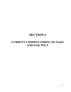 SECTION I CURRENT UNDERSTANDING OF OAKS AND OAK WILT