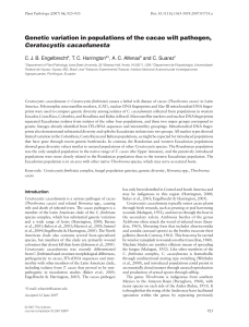 Genetic variation in populations of the cacao wilt pathogen, Ceratocystis cacaofunesta