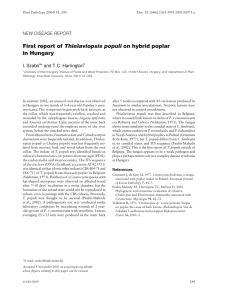 First report of on hybrid poplar in Hungary