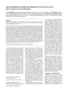 Ceratocystis laricicola C. polonica T. C. Harrington, D. L. McNew