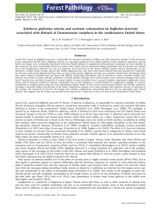 Xyleborus glabratus attacks and systemic colonization by Raﬀaelea lauricola