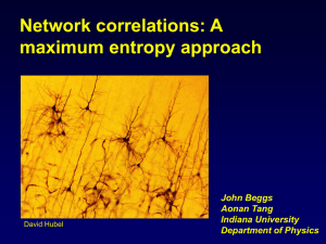 Network correlations: A maximum entropy approach John Beggs Aonan Tang
