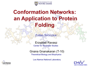 Conformation Networks: an Application to Protein Folding Zoltán Toroczkai