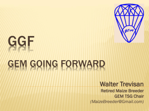 GGF GEM GOING FORWARD Walter Trevisan Retired Maize Breeder