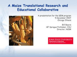 A Maize Translational Research and Educational Collaborative