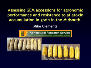 Assessing GEM accessions for agronomic performance and resistance to aflatoxin
