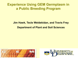Experience Using GEM Germplasm in a Public Breeding Program