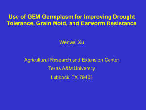 Use of GEM Germplasm for Improving Drought Wenwei Xu