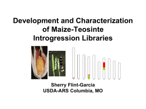 Development and Characterization of Maize-Teosinte Introgression Libraries Sherry Flint-Garcia