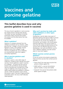 Vaccines and porcine gelatine This leaflet describes how and why