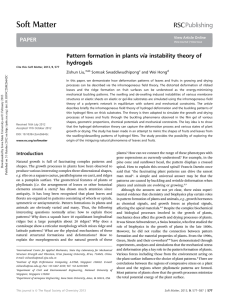 via instability theory of Pattern formation in plants hydrogels Zishun Liu,*