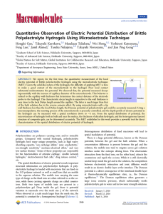 Quantitative Observation of Electric Potential Distribution of Brittle