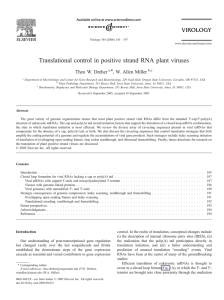 Translational control in positive strand RNA plant viruses Theo W. Dreher