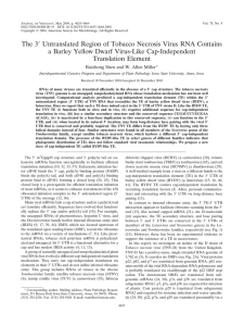 J V , May 2004, p. 4655–4664 Vol. 78, No. 9