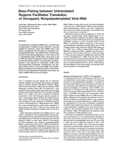 Base-Pairing between Untranslated Regions Facilitates Translation of Uncapped, Nonpolyadenylated Viral RNA