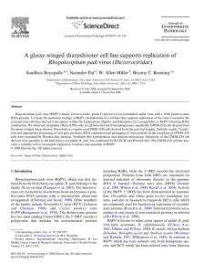 A glassy-winged sharpshooter cell line supports replication of Rhopalosiphum padi Sandhya Boyapalle