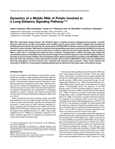 Dynamics of a Mobile RNA of Potato Involved in Mithu Chatterjee,