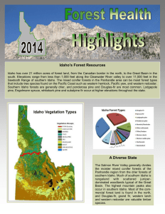 Idaho’s Forest Resources