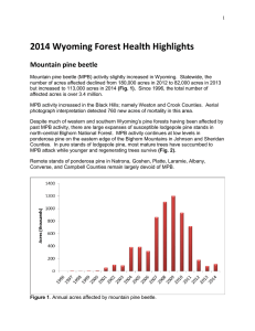 2014 Wyoming Forest Health Highlights Mountain pine beetle
