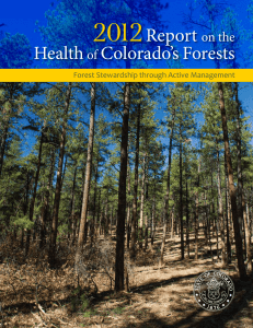 2012 Report Health Colorado’s Forests