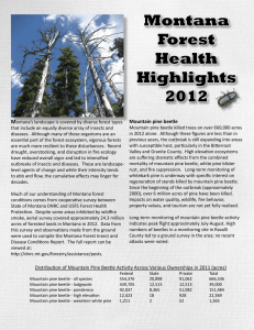 Montana Forest Health Highlights