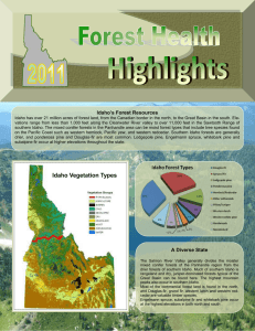 Idaho’s Forest Resources