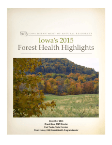 Iowa’s 2015 Forest Health Highlights