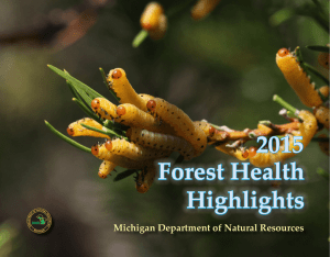 2015 Forest Health Highlights Michigan Department of Natural Resources