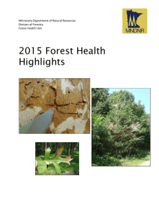 2015 Forest Health Highlights Minnesota Department of Natural Resources