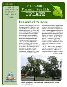 UPDATE Thousand Cankers Disease MISSOURI Forest Health