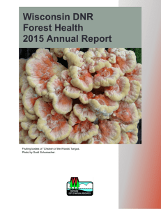 Wisconsin DNR Forest Health 2015 Annual Report