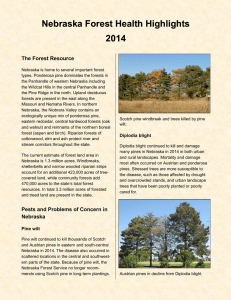 Nebraska Forest Health Highlights 2014 The Forest Resource