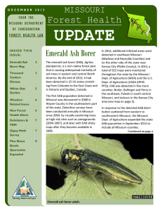 UPDATE  Forest Health Emerald Ash Borer