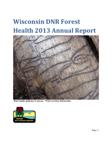 Wisconsin DNR Forest Health 2013 Annual Report