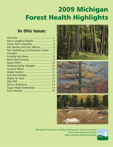 2009 Michigan Forest Health Highlights In this Issue: