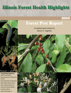Illinois Forest Health Highlights Forest Pest Report 2005 Complied and written by
