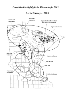 Aerial Survey -  2005