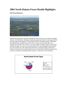 2004 North Dakota Forest Health Highlights The Forest Resource