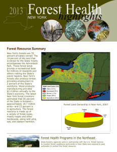 Forest Health highlights 2013 NEW YORK