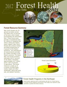 Forest Health highlights 2012 NEW YORK