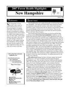 New Hampshire N T S